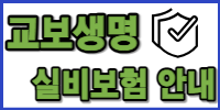 교보생명 실비보험